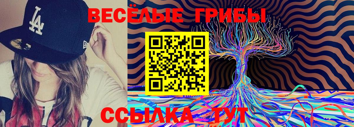 Псилоцибиновые грибы мухоморы Калач-на-Дону