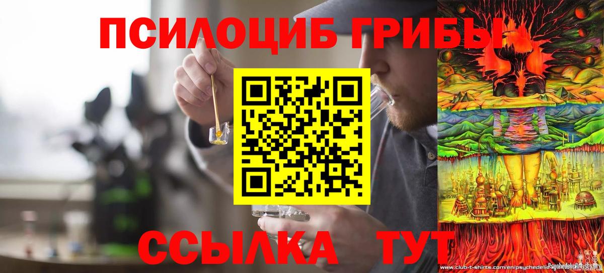 Псилоцибиновые грибы MAGIC MUSHROOMS  Галлюциногенные грибы мицелий  Вход с VPN  где продают наркотики  Калач-на-Дону 